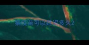 猫疫苗可以延迟多久