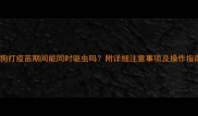 狗狗打疫苗期间能同时驱虫吗附详细注意事项及操作指南