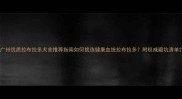广州优质拉布拉多犬舍推荐指南如何挑选健康血统拉布拉多附权威避坑清单