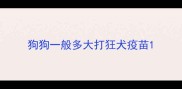狗狗一般多大打狂犬疫苗