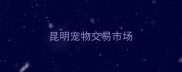 昆明宠物交易市场
