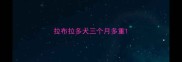 拉布拉多犬三个月多重