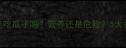 猫咪能吃瓜子吗营养还是危险5大关键点