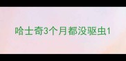 哈士奇3个月都没驱虫