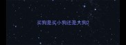 买狗是买小狗还是大狗