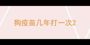 狗疫苗几年打一次