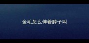 金毛怎么伸着脖子叫