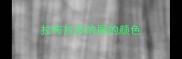 拉布拉多的屎的颜色