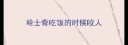 哈士奇吃饭的时候咬人