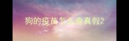 狗的疫苗怎么查真假