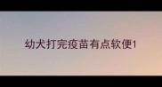 幼犬打完疫苗有点软便