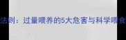 哈士奇吃狗粮的黄金法则过量喂养的5大危害与科学喂食指南附每日食谱