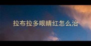 拉布拉多眼睛红怎么治