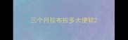 三个月拉布拉多大便软