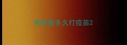 狗恢复多久打疫苗
