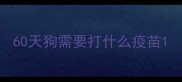 60天狗需要打什么疫苗