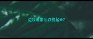 边牧哪里可以提起来
