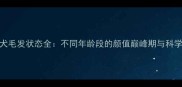 边境牧羊犬毛发状态全不同年龄段的颜值巅峰期与科学养护指南