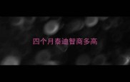 四个月泰迪智商多高