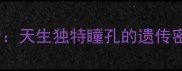 哈士奇异色瞳全天生独特瞳孔的遗传密码与饲养指南