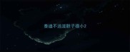 泰迪不活泼胆子很小