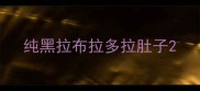 纯黑拉布拉多拉肚子