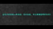金毛犬双血统vs单血统选对血统养出健康聪明好伙伴