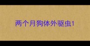 两个月狗体外驱虫