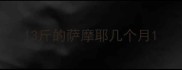 13斤的萨摩耶几个月