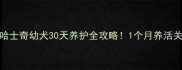 新手必看哈士奇幼犬30天养护全攻略1个月养活关键全公开