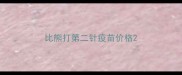 比熊打第二针疫苗价格