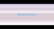 狗狗食欲不好还吐
