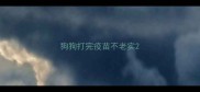 狗狗打完疫苗不老实