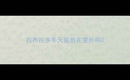 拉布拉多冬天能放在室外吗