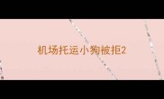 机场托运小狗被拒