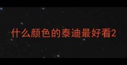 什么颜色的泰迪最好看