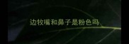 边牧嘴和鼻子是粉色吗