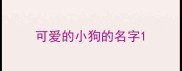 可爱的小狗的名字