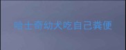 哈士奇幼犬吃自己粪便