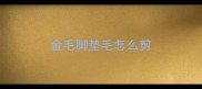 金毛脚垫毛怎么剪