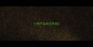 小狗不会自己吃奶