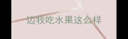 边牧吃水果这么样