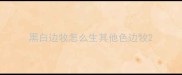 黑白边牧怎么生其他色边牧