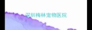 深圳梅林宠物医院