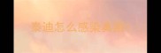 泰迪怎么感染真菌