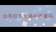 拉布拉多发烧40严重吗