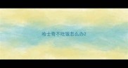 哈士奇不吃饭怎么办