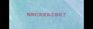 狗狗打完疫苗之后吐了
