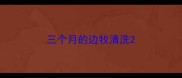 三个月的边牧清洗