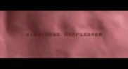 哈士奇细小预防指南科学养护远离致命疾病